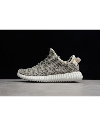 adidas Yeezy Boost 350 Turtle Dove AQ4832